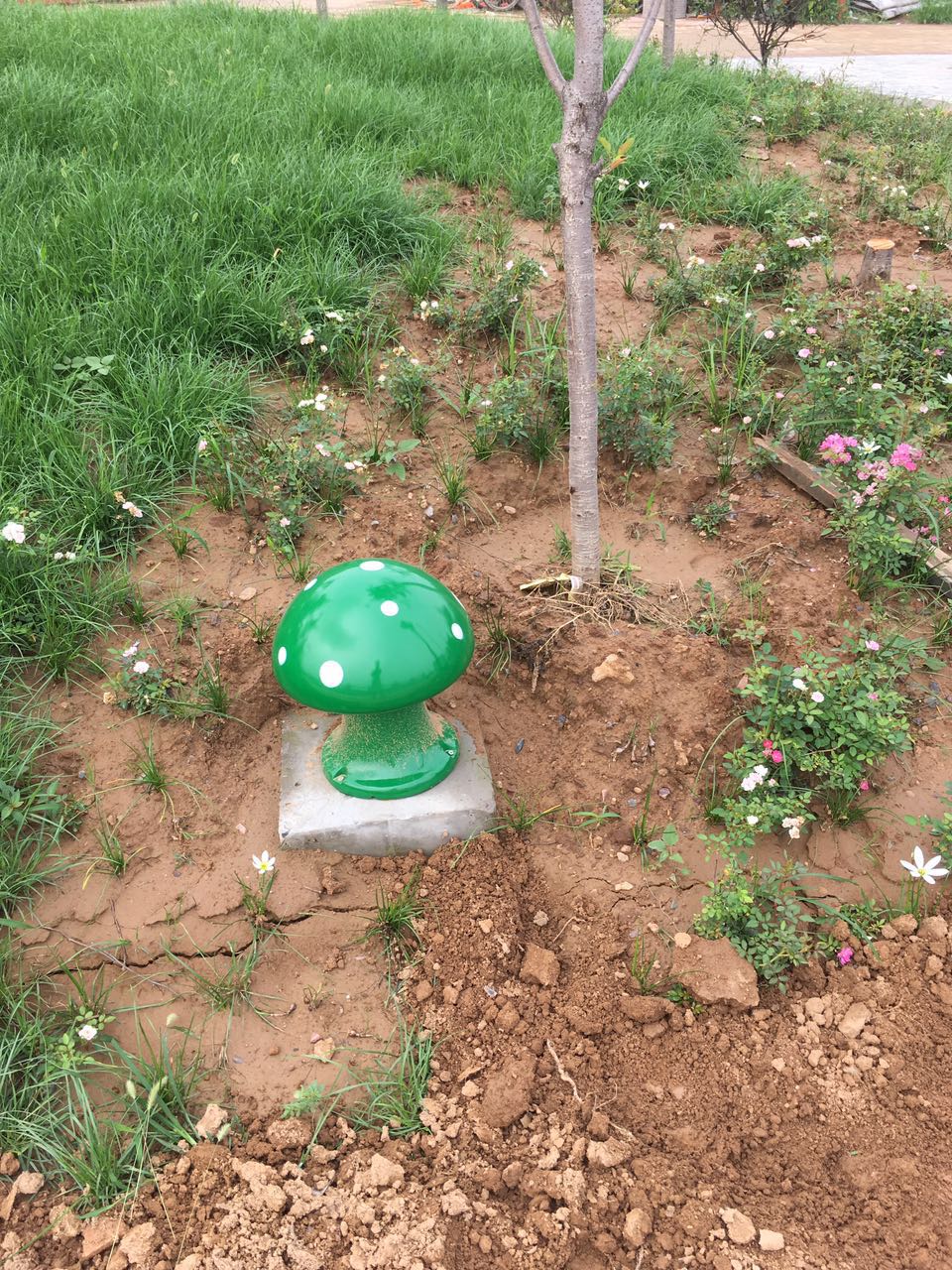 中国·太阳集团tcy8722(股份有限公司)-官方网站